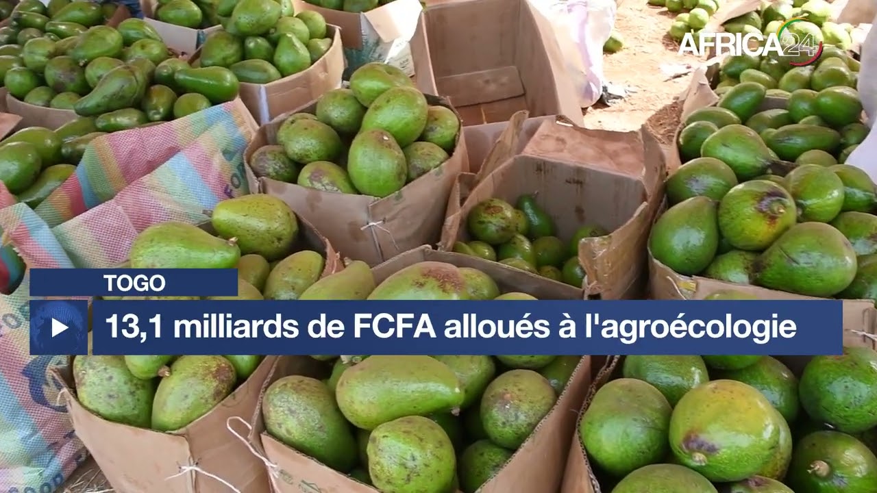 Togo : 13,1 milliards de FCFA alloués à l'agroécologie